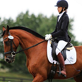 Training for horses and riders